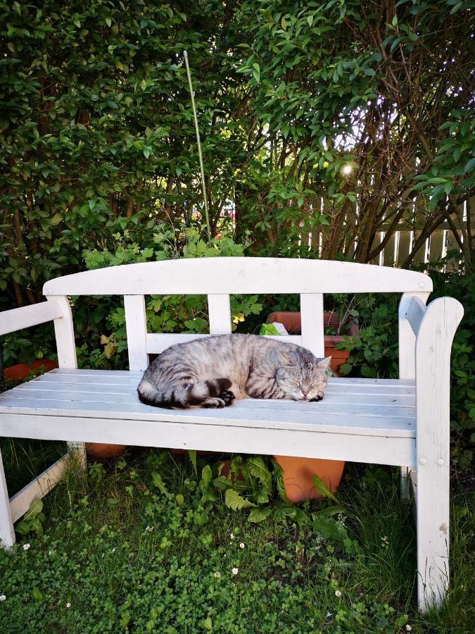Christl - Mit Garten Und Pool Zur Mitbenutzung * Wiedeń